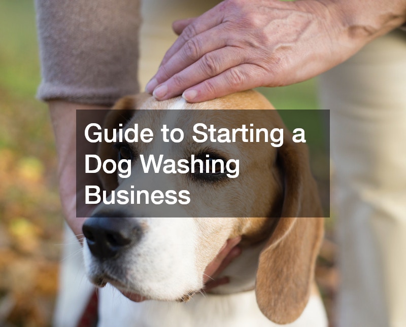 Guide to Starting a Dog Washing Business