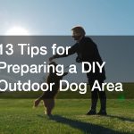 13 Tips for Preparing a DIY Outdoor Dog Area