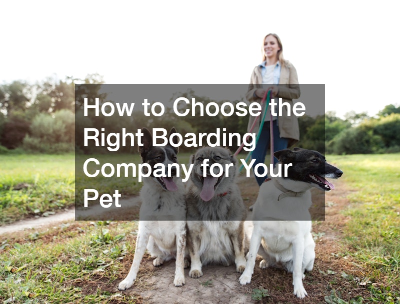 How to Choose the Right Boarding Company for Your Pet