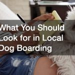 What You Should Look for in Local Dog Boarding