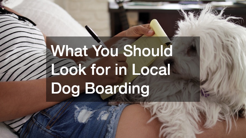 What You Should Look for in Local Dog Boarding